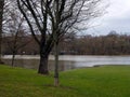 Spring flood. The river overflowed its banks and spilled between the trees of the park. Very gloomy weather