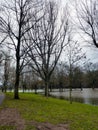 Spring flood. The river overflowed its banks and spilled between the trees of the park. Very gloomy weather