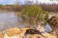 Spring flood on the river. Royalty Free Stock Photo