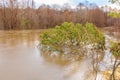 Spring flood on the river. Royalty Free Stock Photo