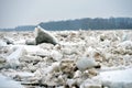 Spring flood threat. The ice jam on the river. Royalty Free Stock Photo