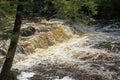 Spring Flood Waters Raging Through a Forest Stream Royalty Free Stock Photo