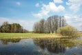 Spring flooded green meadow, forest to the horizon, clouds and trees reflecting in the water