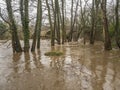 Spring Flooding and Fast Moving Melt Water During Heavy Rain. Royalty Free Stock Photo