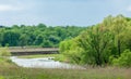 Spring flooding river. Mixed forest Royalty Free Stock Photo