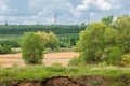 Spring flooding river. Mixed forest Royalty Free Stock Photo