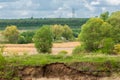 Spring flooding river. Mixed forest Royalty Free Stock Photo