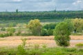 Spring flooding river. Mixed forest Royalty Free Stock Photo