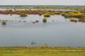 Spring. floodplain meadow flooded with a river.