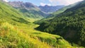 Spring flora in foreground with valley