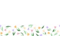 Spring floral banner on white background with copy space. Tulip flowers and leaves seamless border for fabric, wrapping paper,. Royalty Free Stock Photo