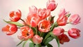 Spring floral beauty plant pink bouquet petal green tulip nature flowers blossom red Royalty Free Stock Photo