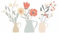 A spring floral branch with simple blooms and leaves in a jug or pitcher. A summer meadow wildflower in a vase. Flat Royalty Free Stock Photo