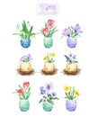 Spring floral clipart set. Flowers in eggshell. Royalty Free Stock Photo