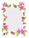 Spring floral frame with apple tree pink flowers, buds, green leaves isolated on white background. Watercolor clipart Royalty Free Stock Photo