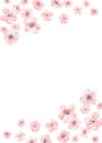 Spring floral frame. Watercolor cherry blossom illustration. Pink flowers on white background Royalty Free Stock Photo