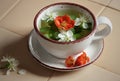 Pring floral herbal mint tea with flower buds of apple tree and quince flowers , vintage retro composition