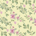 Spring floral pattern with daisies in pastel colors.