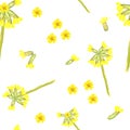 Spring floral seamless pattern with cowslip