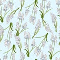 Spring floral seamless pattern. Endless vector texture hand-drawn latifolium muscari flowers on a blue background for fabric, Royalty Free Stock Photo