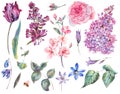 Spring floral set of vintage watercolor pink roses, leaves, bloo