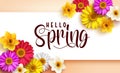 Spring floral vector template design. Hello spring greeting text in white banner space with colorful chamomile and daffodil flower Royalty Free Stock Photo