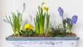 Spring flower arrangement