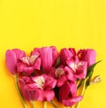 Spring flower arrangement. Bright crimson tulips and astromeria on a yellow background.