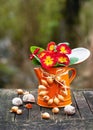 Spring flower arrangement with orange, yellow primula flowers in a vintage old enamel teapot with onion wreath on it. Royalty Free Stock Photo