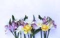 Spring flower arrangement. Yellow daffodils, pink astromeria and a large scarlet rose on a light pink background. Royalty Free Stock Photo