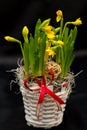 Spring flower arrangements Royalty Free Stock Photo