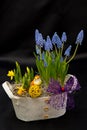 Spring flower arrangements Royalty Free Stock Photo