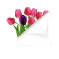 Spring flower background with cloven paper