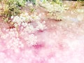 spring flower background with soft blur focus background