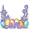 Spring flower banner of crocuses and easter eggs. Watercolor Background Royalty Free Stock Photo