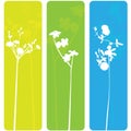 Spring flower banners Royalty Free Stock Photo