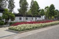 Spring flower bed in city Nanning flower park Royalty Free Stock Photo