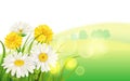 Spring flower daisy juicy, chamomiles yellow dandelions green grass background Template for banners, web, flyer. Vector Royalty Free Stock Photo