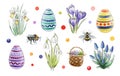 Spring flower easter watercolor set. Beautiful blooming season flowers, painted eggs, bee, bumblebee, busket collection