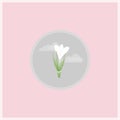 Spring flower flat icon. Royalty Free Stock Photo