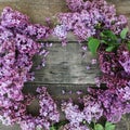 Spring Flower Frame with Lilac Bunch woth copy space. rustic Textured Board. Square Image. Royalty Free Stock Photo