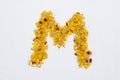 Spring Flower Letter concept of Marigold petal. Marigold petal alphabet isolated on white background. Letter M concept Logo