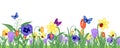 Spring flower meadow banner Royalty Free Stock Photo