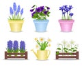 Spring Flower Pots Set Royalty Free Stock Photo