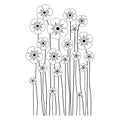 Spring Flower Silhouettes. Flowers silhouettes isolated on White Background. Vector line hand drawn illustration with flowers.