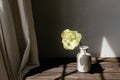 Spring flower in vase rustic still life. Beautiful yellow tulip on aged wooden bench on background of grey wall in sunlight. Royalty Free Stock Photo