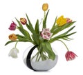 Spring flower in vase on white background Royalty Free Stock Photo