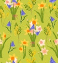 Spring flower vector seamless pattern. Romantic flourish grape hyacinth, narcissus, mimosa botany illustration. Cottage core