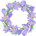 Spring flower wreath of crocuses. Vector elements isolated.