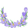 Spring flower wreath of crocuses. Vector elements isolated.